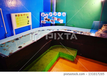 Touch pool at Noshappu Cold Current Aquarium 131017285