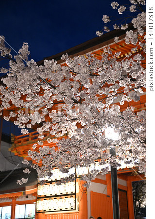 八坂神社櫻花2024年春季 八坂神社櫻花2024年春季 131017318