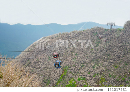 箱根大涌谷 箱根大涌谷 131017381