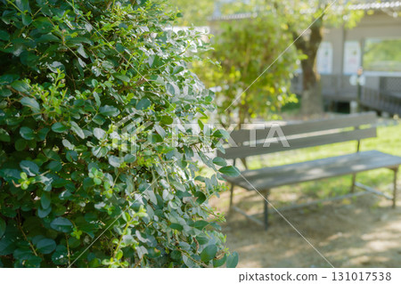 Shade bench Shade bench 131017538