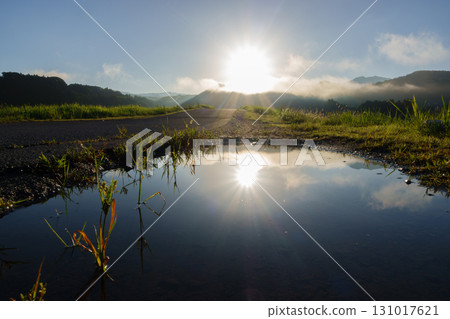 Morning sun reflected in a puddle 131017621