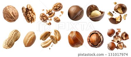 Collection of 4 nut seed fruit kernel, Macadamia, Walnut, peanut groundnut, Hazelnut cobnuts filberts in husk shell unshelled on transparent cutout PNG. Mockup template 131017974