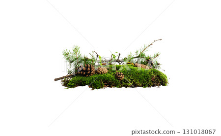 Fresh green moss isolated on white background Fresh green moss isolated on white background 131018067
