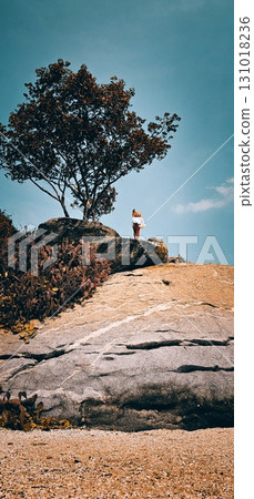A person stands under a tree on a rocky outcrop, enjoying a beautiful view of nature. 131018236