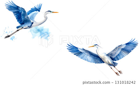 A great blue heron is flying gracefully over the water isolated on a white background. 131018242
