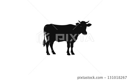 Cow and calf isolated on white background 131018267