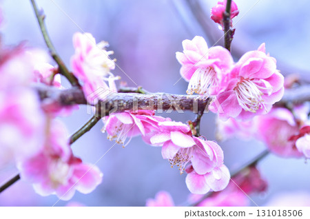 Welcome to spring Welcome to spring 131018506