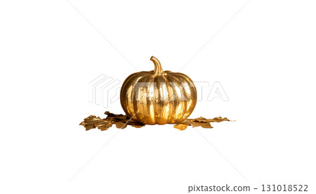Beautiful pumpkin icon illustration isolated on white background. Beautiful pumpkin icon illustration isolated on white background. 131018522