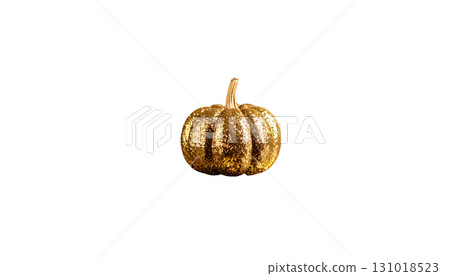 Beautiful pumpkin icon illustration isolated on white background. Beautiful pumpkin icon illustration isolated on white background. 131018523