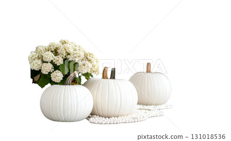 Beautiful pumpkin icon illustration isolated on white background. Beautiful pumpkin icon illustration isolated on white background. 131018536