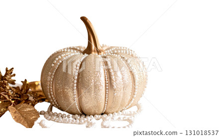Beautiful pumpkin icon illustration isolated on white background. 131018537