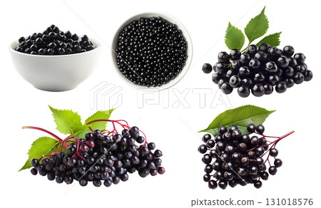 Elderberry Elderberries berry berries fruit, many angles view top front bunch pile bowl isolated on transparent background cutout, PNG file. Mockup template for artwork 131018576