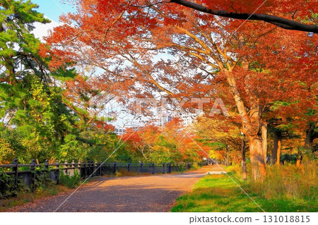 市民可以在此放鬆身心，欣賞絢麗的紅葉的公園 131018815