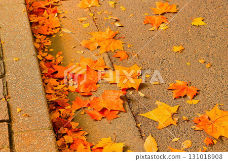 路邊的秋葉 131018908