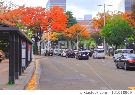 清爽的藍天和路邊樹的秋葉 131018909