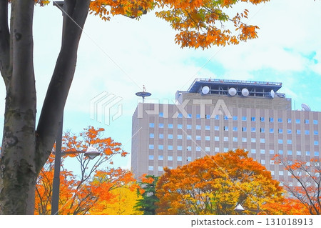 宮城縣廳和秋葉 131018913