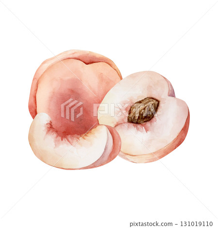 Peach summer juicy ripe fruit. Watercolor hand drawn floral food illustration isolated on white background for home kitchen textile fresh fabric print card cosmetic package porcelain crockery label 131019110