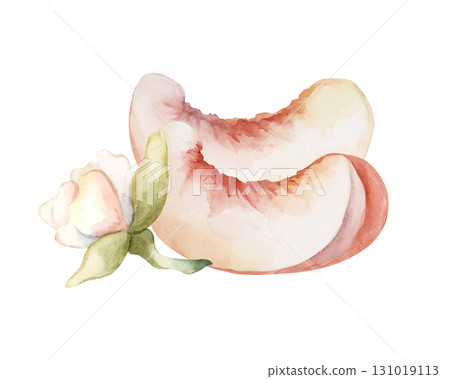 Peach fruit slices with flower. Summer Watercolor hand drawn floral food illustration isolated on white background for home kitchen textile fresh fabric print card cosmetic package crockery label logo 131019113