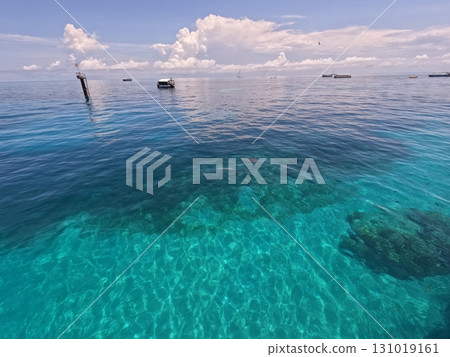 Sea of Green Island Sea of Green Island 131019161