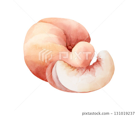 Peach fruit slice. Summer Watercolor hand drawn floral ripe food illustration isolated on white background for home kitchen textile fresh fabric print card cosmetic package porcelain crockery label 131019237
