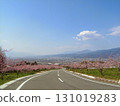 路兩旁桃花盛開 131019283
