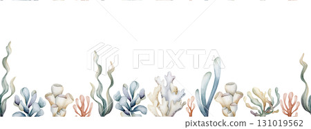 Seaweed Algae Sea Coral Sponge Plant seamless border. Watercolor hand painted summer illustration on white background Cute pastel neutral underwater for kids baby nursery textile fabric wrapping paper Seaweed Algae Sea Coral Sponge Plant seamless border. Watercolor hand painted summer illustration on white background Cute pastel neutral underwater for kids baby nursery textile fabric wrapping paper 131019562