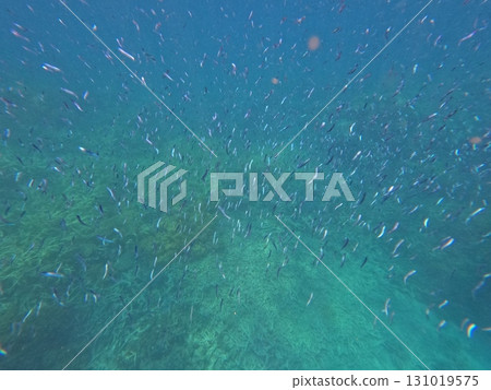 the great barrier reef, floating island, blue water 131019575