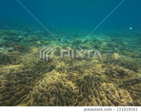 大堡礁 海 大海 131019581
