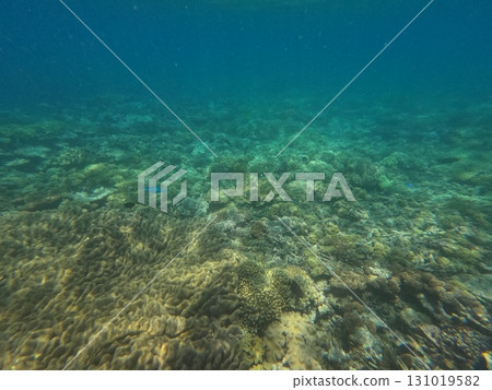 海 大海 海洋 131019582