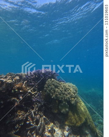 blue water, marine, maritime 131019603