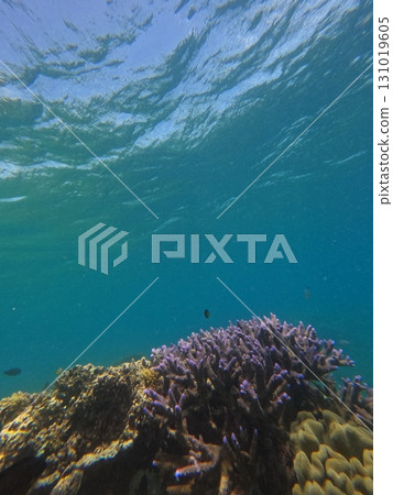 浮島 海 大海 131019605