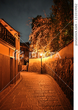 Night stone wall path 131019982