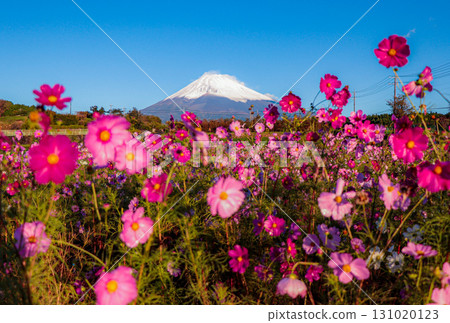 宇宙和富士山 131020123