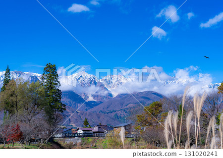 [Autumn Material] Three-tiered autumn foliage scenery seen from Oide Park in Hakuba Village in autumn [Nagano Prefecture] 131020241