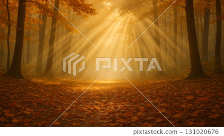 A beautiful forest with fallen autumn leaves and sunlight filtering through the trees A beautiful forest with fallen autumn leaves and sunlight filtering through the trees 131020676