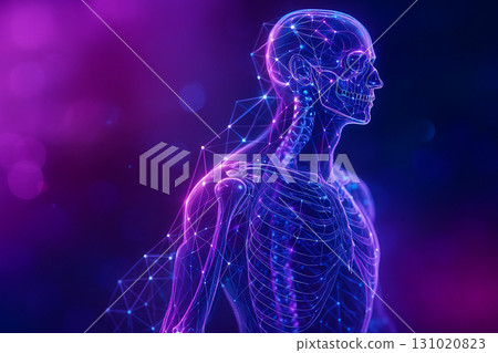 AI generated ultra realistic holographic human body glowing in blue and purple tones showing anatomy bones muscles and nerves with digital light effect in futuristic medical visualization style 131020823
