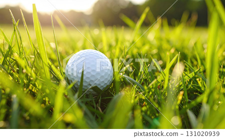 White golf ball nestled in thick green grass, close up with sunlight shining, outdoor sports scene, summer day, peaceful and natural atmosphere, focus on texture and detail 131020939