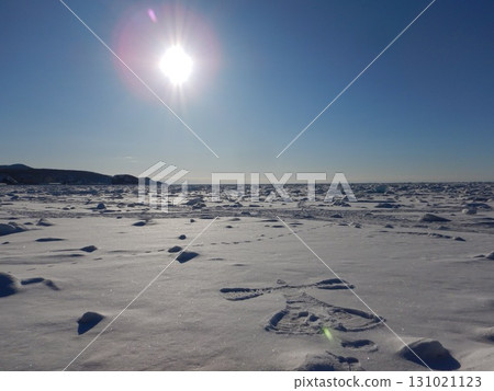 Ice floe of Shiretoko 131021123