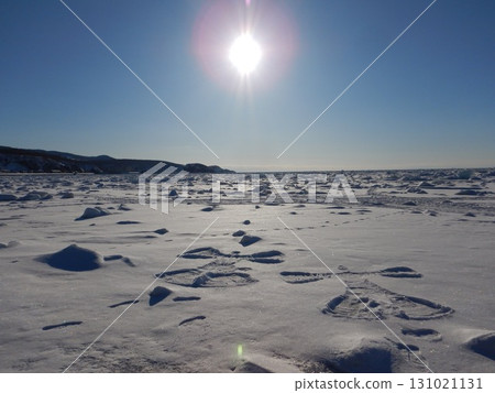 Ice floe of Shiretoko Ice floe of Shiretoko 131021131