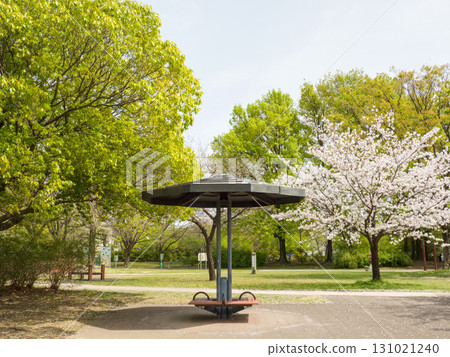 春天的公園，有涼亭，周圍櫻花和新綠環繞 131021240