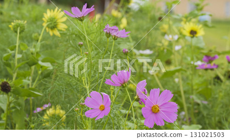 太陽山 太陽山 131021503