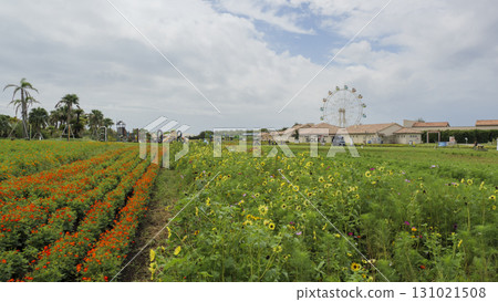 Soleil Hill 131021508