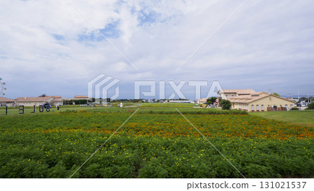 Soleil Hill Soleil Hill 131021537