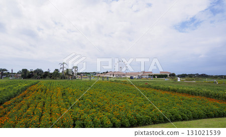 Soleil Hill 131021539