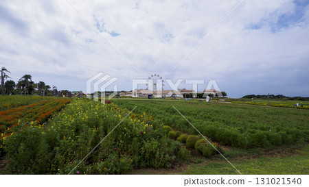 Soleil Hill 131021540