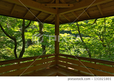 昇仙峽涼亭 131021801