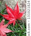 Autumn leaves fallen leaves 131021824