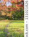 Autumn park with autumn leaves 131021826