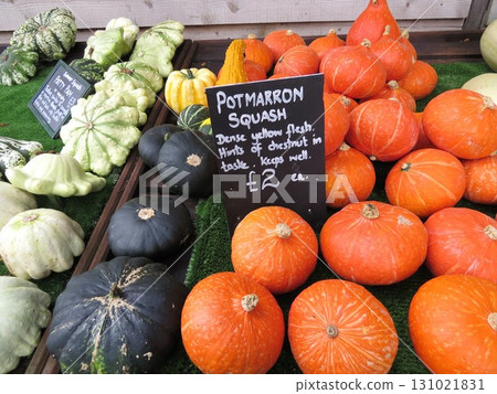 Pumpkins for sale at the market 131021831