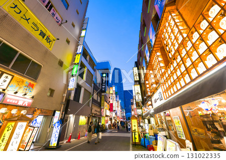 [Tokyo] May - Entertainment district near Shinjuku Station 131022335